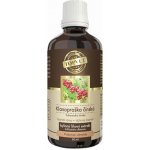 Green idea Schizandra klanopraška čínská tinktura 50 ml – Hledejceny.cz