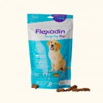 Flexadin Young Dog maxi 60 tablet – Hledejceny.cz