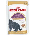 Royal Canin Feline BREEDish Shorthair 85 g – Zboží Mobilmania