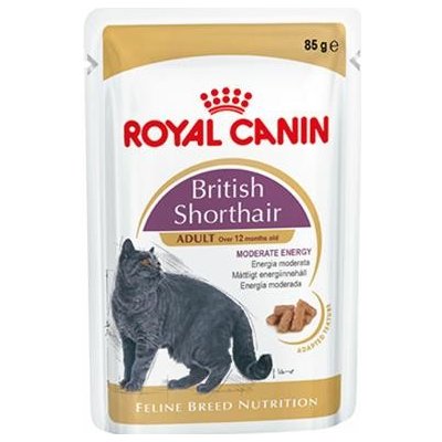 Royal Canin Feline BREEDish Shorthair 85 g – Zboží Mobilmania