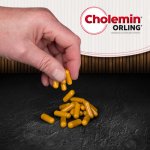 Cholemin Orling 360 kapslí – Hledejceny.cz
