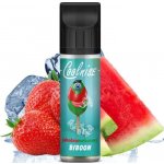 CoolniSE BIBOON 10 ml – Sleviste.cz