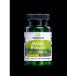 Swanson Shilajit Mumio Extract 60 kapslí – Hledejceny.cz