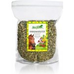 Stiefel Byliny pro podporu imunitního systému 1 kg – Hledejceny.cz