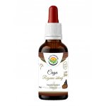 Salvia Paradise Čaga Rezavec šikmý AF tinktura 50 ml – Hledejceny.cz