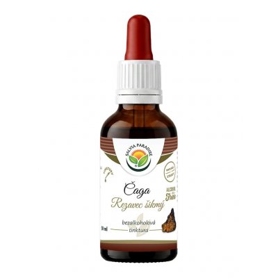 Salvia Paradise Čaga Rezavec šikmý AF tinktura 50 ml – Hledejceny.cz