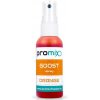 Aroma pro rybářskou návnadu Promix booster Goost Spray Orange Mango 60 g