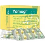 Yomogi 250 mg 50 kapslí – Hledejceny.cz