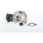 AGR-Ventil BorgWarner (Wahler) 711021D – Sleviste.cz