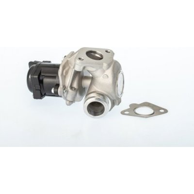 AGR-Ventil BorgWarner (Wahler) 711021D – Sleviste.cz