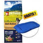 Ontario Adult Medium Lamb & Rice 12 kg – Hledejceny.cz