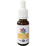 Energie rostlin Bachovy esence Vitalita a spokojenost 20 ml – Hledejceny.cz