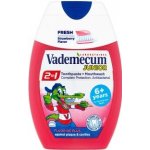 Vademecum 2v1 Junior kombinace zubní pasty a ÚV Jahoda 75 ml – Hledejceny.cz