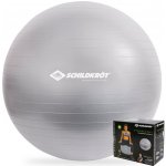 Schildkröt Gymnastic Ball 55 cm – Zboží Mobilmania