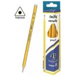 triangular 6200236 – Zboží Živě