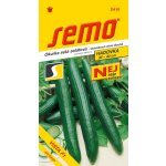 SEMO Okurka salátová Vista F1 – Hledejceny.cz