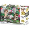 3D puzzle PRIME 3D PUZZLE Mezi pivoňkami 48 ks