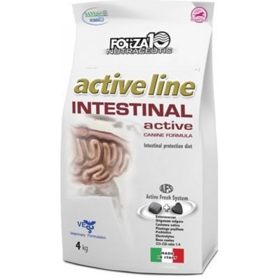 Forza10 Intestial active 4 kg – Zboží Mobilmania
