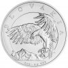 Česká mincovna Stříbrná mince Orel 2024 stand 2 oz