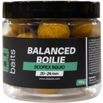 TB Baits Vyvážené Boilies Balanced + Atraktor Scopex Squid 100 g 20-24 mm – Zboží Mobilmania