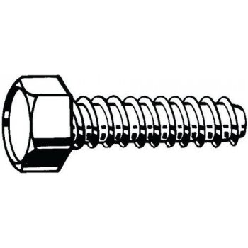 Samořezný šroub se šestihrannou hlavou, bez hrotu DIN 7976 F Ocel Pozinkované ST8(7,9)X19MM