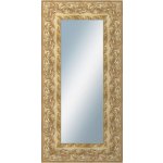 DANTIK KŘÍDLO 50 x 100 cm zlaté 2890 – Hledejceny.cz