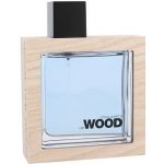 Dsquared2 He Wood Ocean Wet Wood toaletní voda pánská 100 ml – Hledejceny.cz