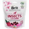 Brit Care Dog Crunchy Cracker Insects with Lamb enriched with Raspberries 200 g