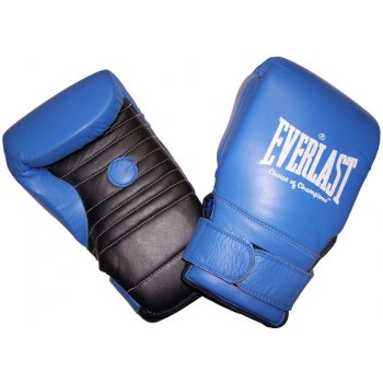 Everlast kožené sparring