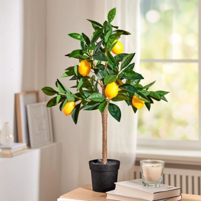Die moderne Hausfrau Umělý strom Citronovník – Hledejceny.cz