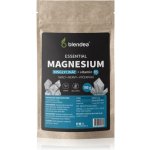 Blendea Magnesium + vitamin B6 prášek 100 g – Hledejceny.cz