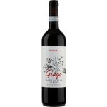 Damoli Vini Valpolicella classico superiore Ripasso "Giago" 2020 14% 0,75 l (holá láhev) – Hledejceny.cz