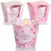 Svíčka Bartek Candles Cherry Blossom Sakura pink 115 g