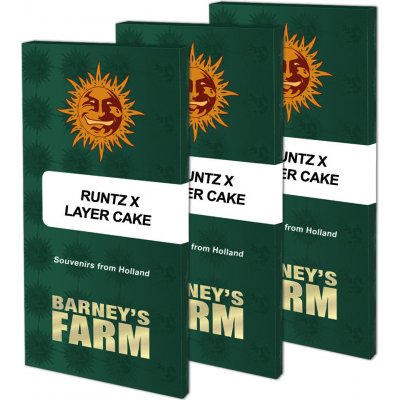 Barney's Farm Runtz x Layer Cake semena neobsahují THC 5 ks