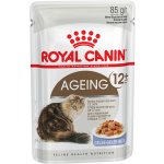 Royal Canin Ageing 12+ Jelly 48 x 85 g – Hledejceny.cz