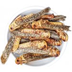 Sens Sušená sarančata neochucení 36 g – Sleviste.cz