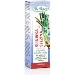 Dr.Popov tinktura Slinivka slezina 50 ml – Hledejceny.cz