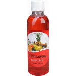 ShishaSyrup Melasa Exotický mix 100 ml – Hledejceny.cz