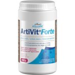 Vitar Veterinae ArtiVit Forte prášek 600 g – Sleviste.cz