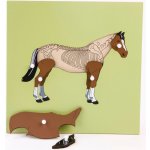 Montessori Vkládací puzzle s kostrou koně