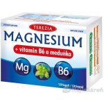 Terezia Magnesium+vitamin B6 a meduňka 120 kapslí – Hledejceny.cz