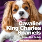 Cavalier King Charles Spaniels – Hledejceny.cz