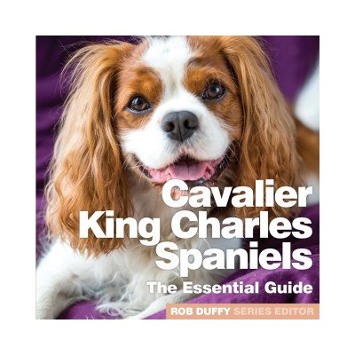 Cavalier King Charles Spaniels – Hledejceny.cz