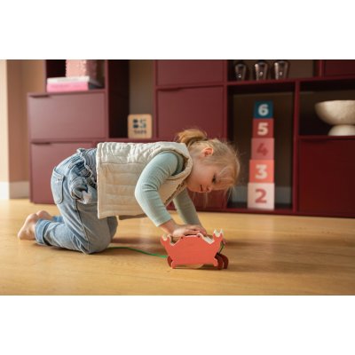 BS Toys tahací veselý krab – Hledejceny.cz