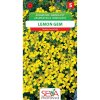 Osivo a semínko Semínka Aksamitník jemnolistý Lemon Gem (Tagetes tenuifolia)