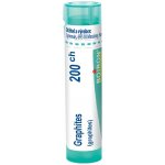 GRAPHITES POR 200CH GRA 4G – Hledejceny.cz