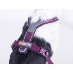 Non Stop Postroj pro psy dogwear Line harness 5.0 – Zboží Dáma