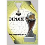 VIZINGR Hasiči diplom A4 č.30 – Zboží Dáma