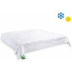 Brotex přikrývka Aloe Vera celoroční 1580g 220x240 – Zboží Dáma