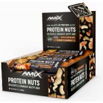 Amix Protein Nuts Bar 25 x 40 g – Hledejceny.cz